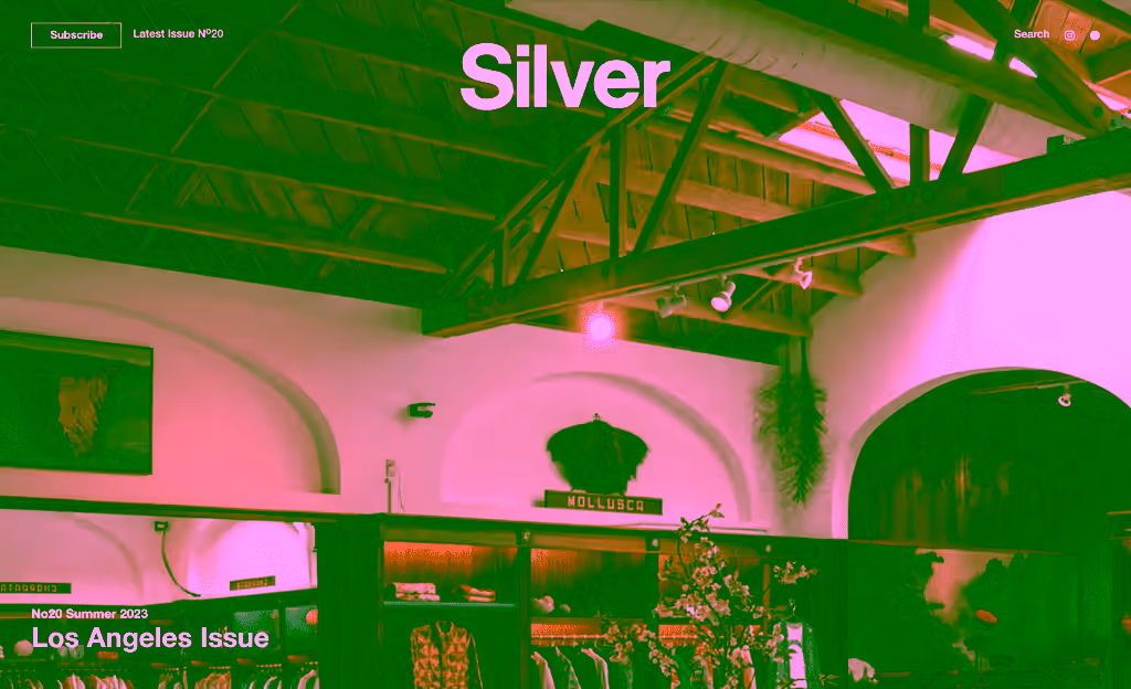 Silver Magazine