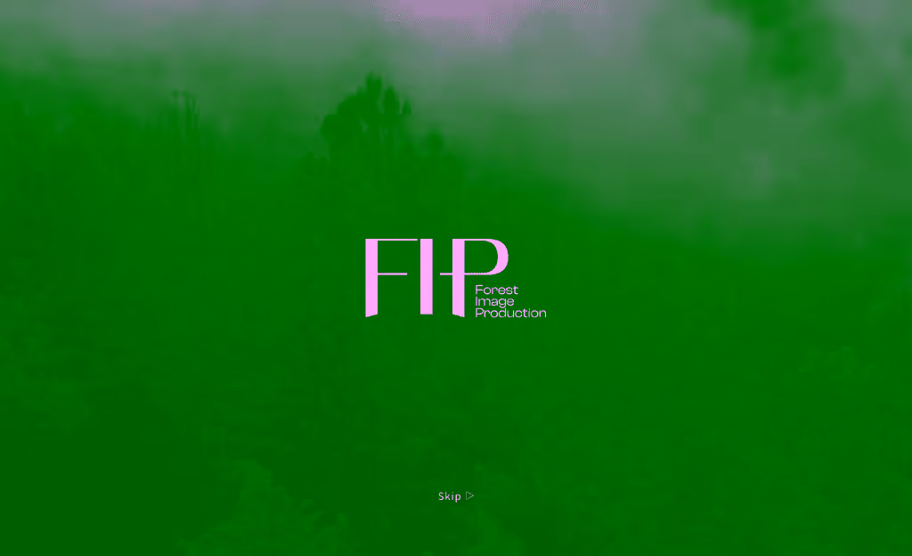 FIP